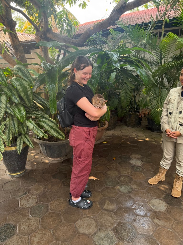 Teen girl holding a trained detection rat at APOPO center in Siem Reap Cambodia