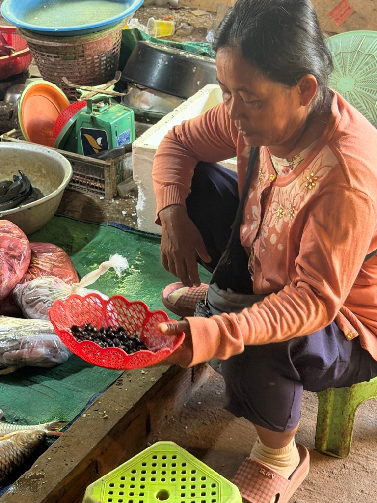 Local woman selling fresh ingredients at market in Siem Reap Cambodia